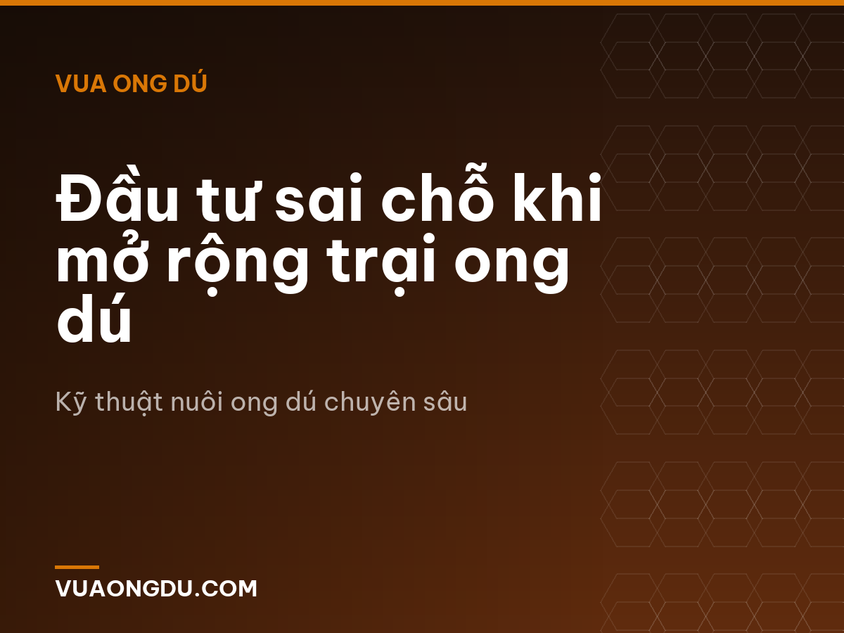 Đầu tư sai chỗ khi mở rộng trại ong dú