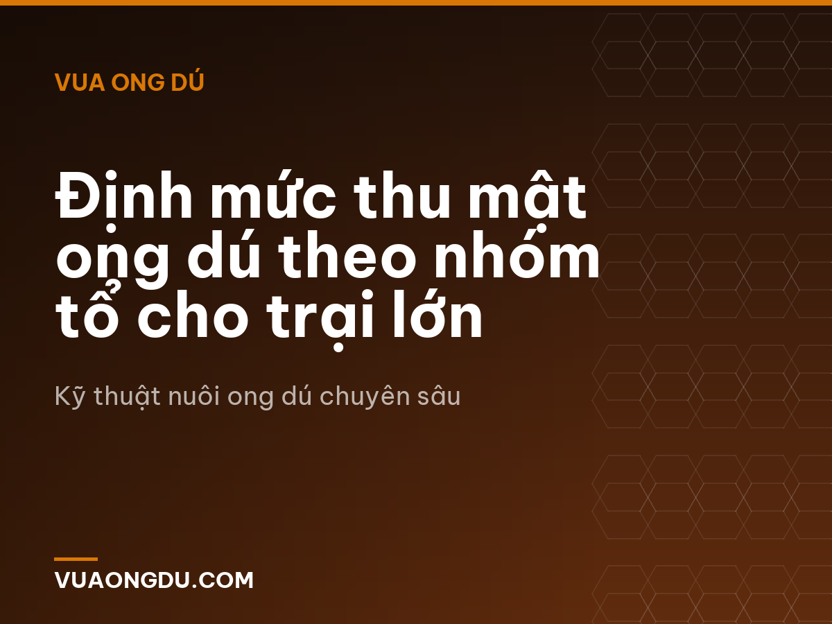 Định mức thu mật ong dú theo nhóm tổ cho trại lớn