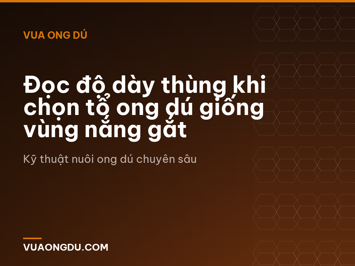 Đọc độ dày thùng khi chọn tổ ong dú giống vùng nắng gắt