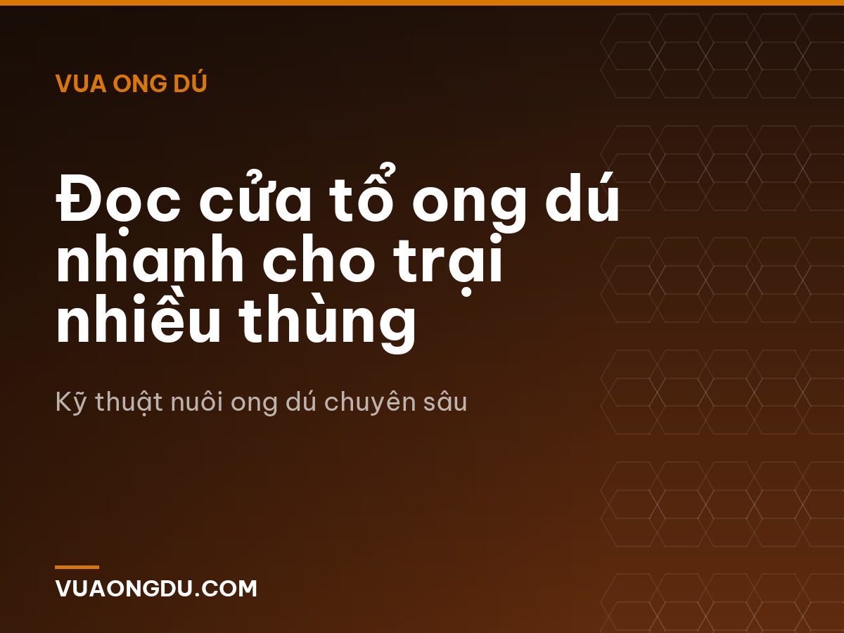 Đọc cửa tổ ong dú nhanh cho trại nhiều thùng