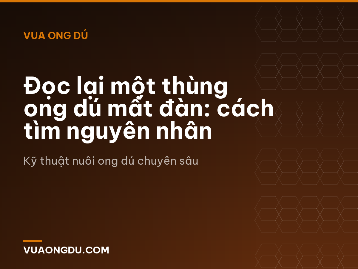 Đọc lại một thùng ong dú mất đàn: cách tìm nguyên nhân