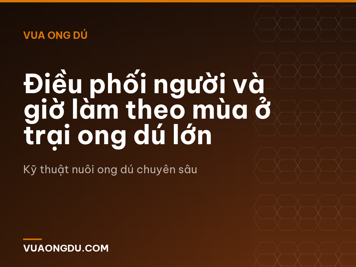 Điều phối người và giờ làm theo mùa ở trại ong dú lớn