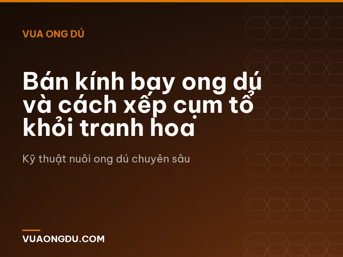 Bán kính bay ong dú và cách xếp cụm tổ khỏi tranh hoa