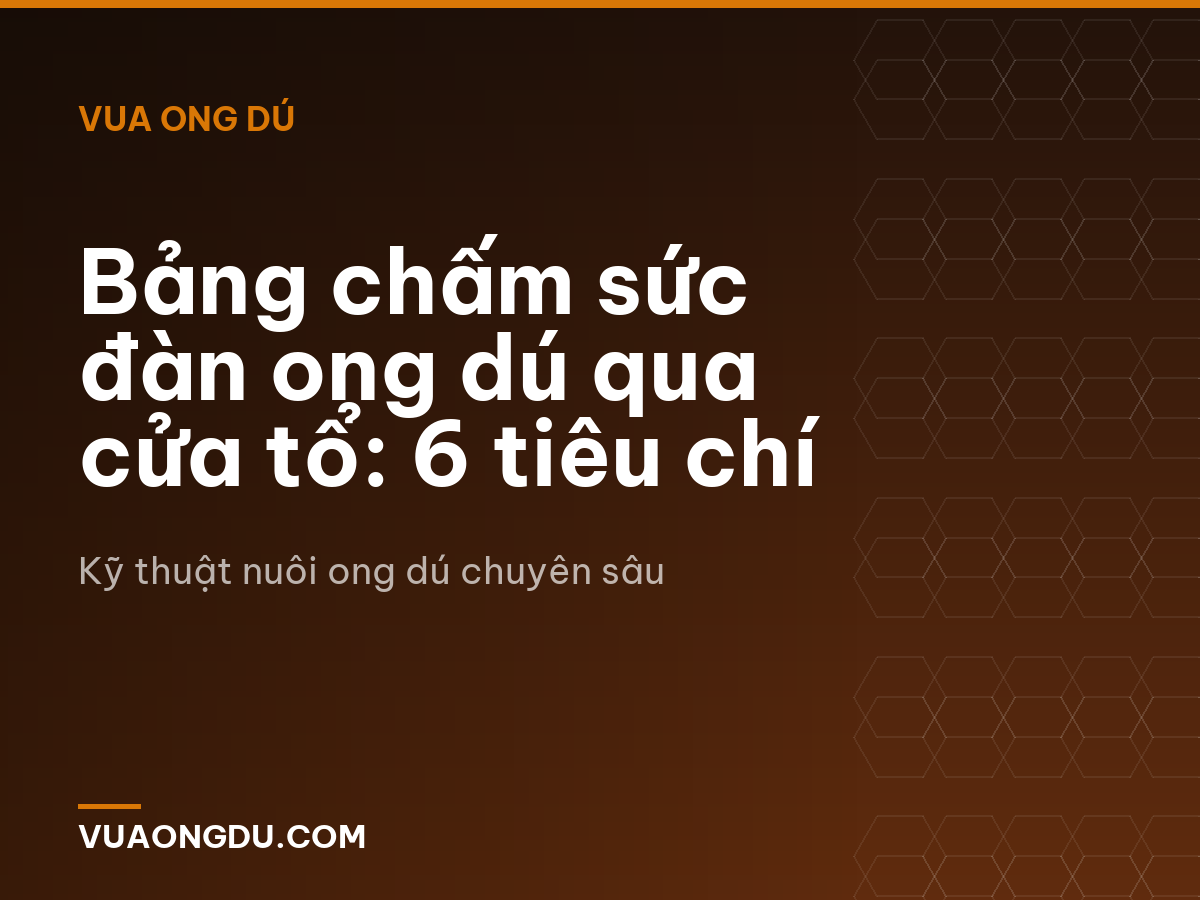 Bảng chấm sức đàn ong dú qua cửa tổ: 6 tiêu chí