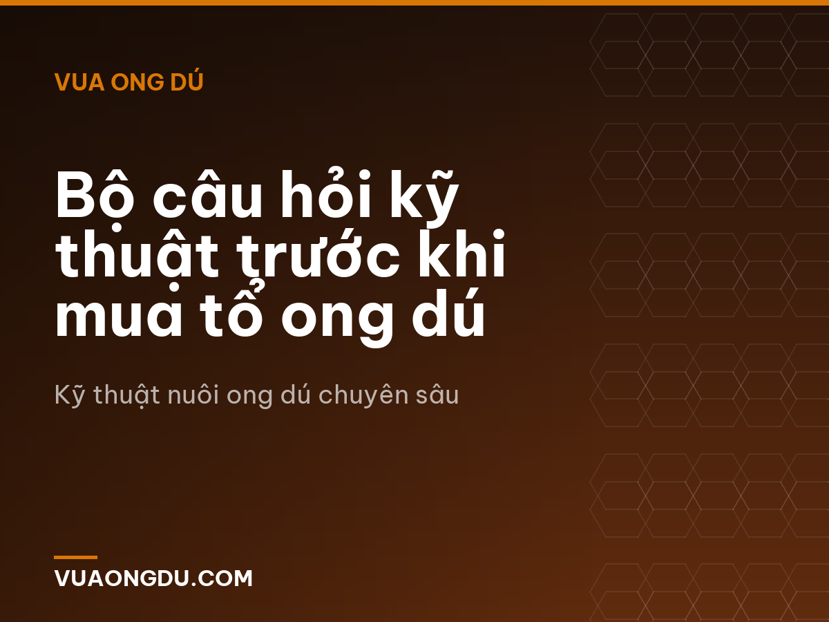 Bộ câu hỏi kỹ thuật trước khi mua tổ ong dú