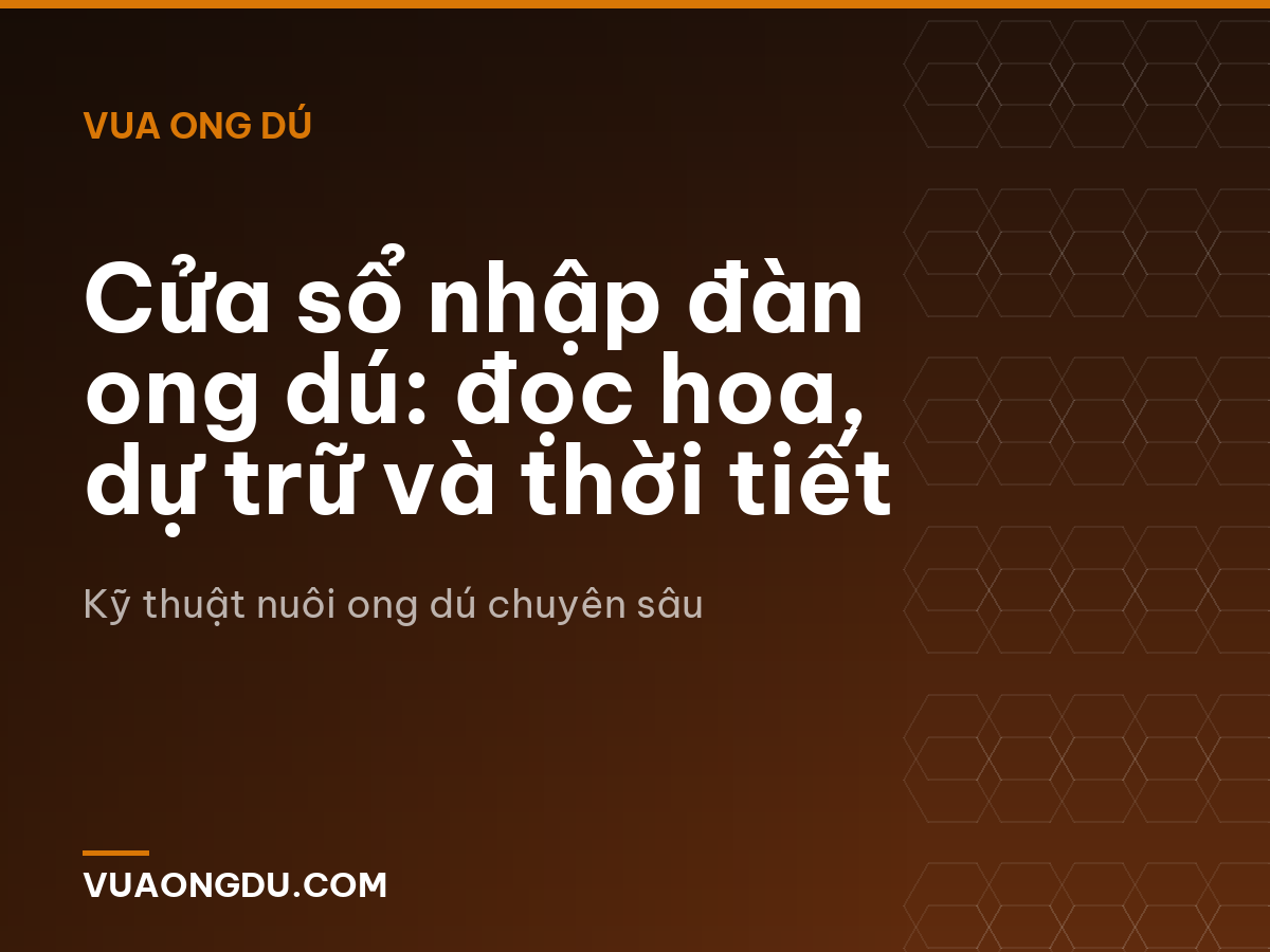 Cửa sổ nhập đàn ong dú: đọc hoa, dự trữ và thời tiết