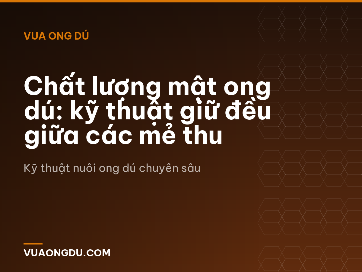 Chất lượng mật ong dú: kỹ thuật giữ đều giữa các mẻ thu