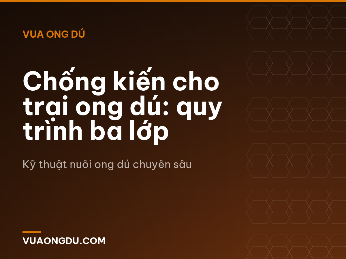 Chống kiến cho trại ong dú: quy trình ba lớp