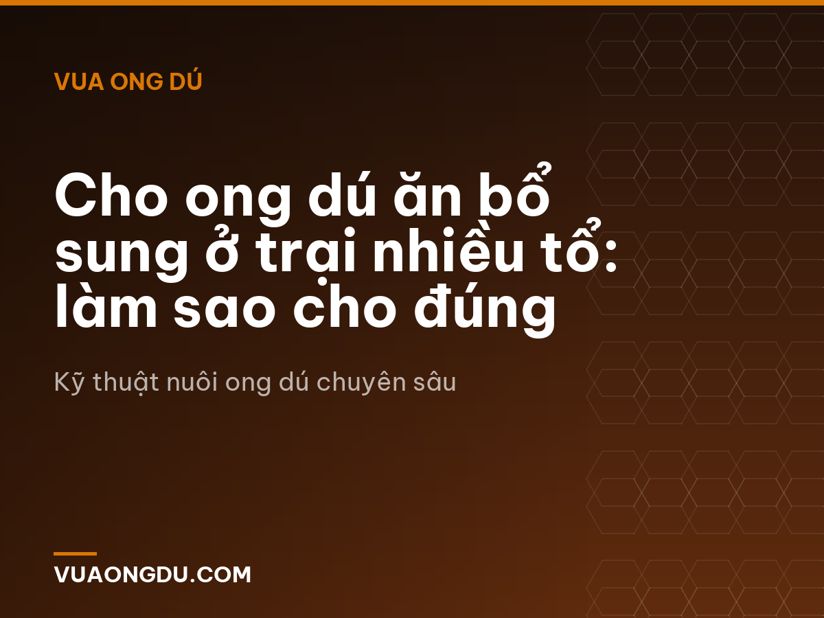 Cho ong dú ăn bổ sung ở trại nhiều tổ: làm sao cho đúng