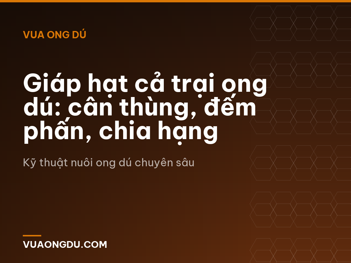 Giáp hạt cả trại ong dú: cân thùng, đếm phấn, chia hạng