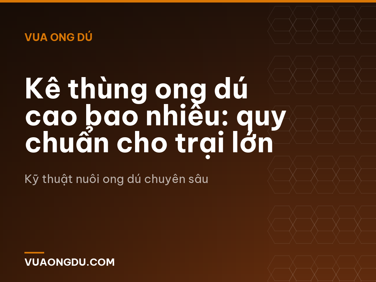Kê thùng ong dú cao bao nhiêu: quy chuẩn cho trại lớn