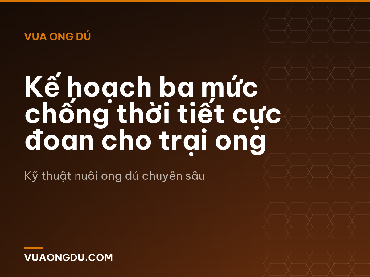 Kế hoạch ba mức chống thời tiết cực đoan cho trại ong