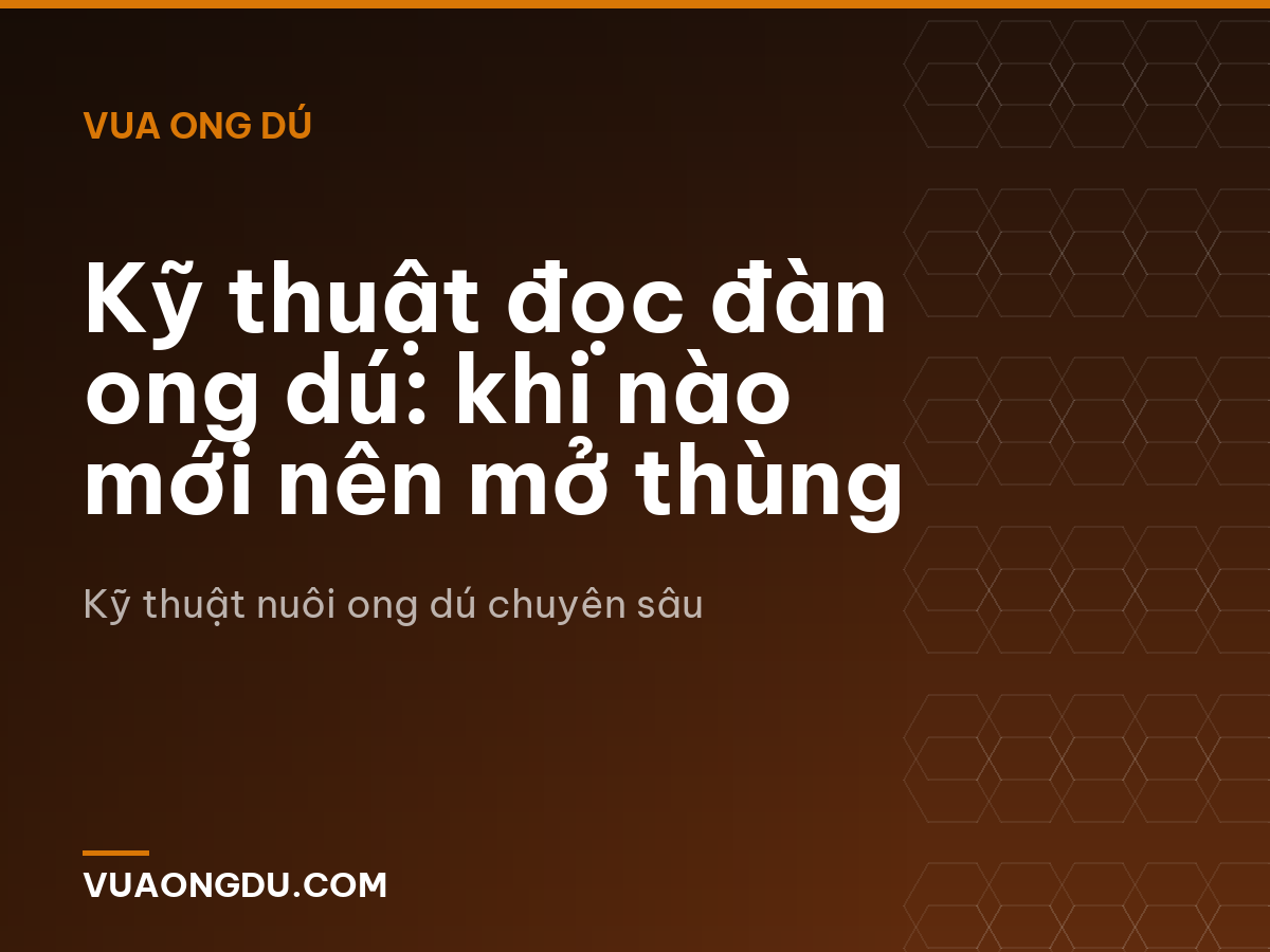 Kỹ thuật đọc đàn ong dú: khi nào mới nên mở thùng