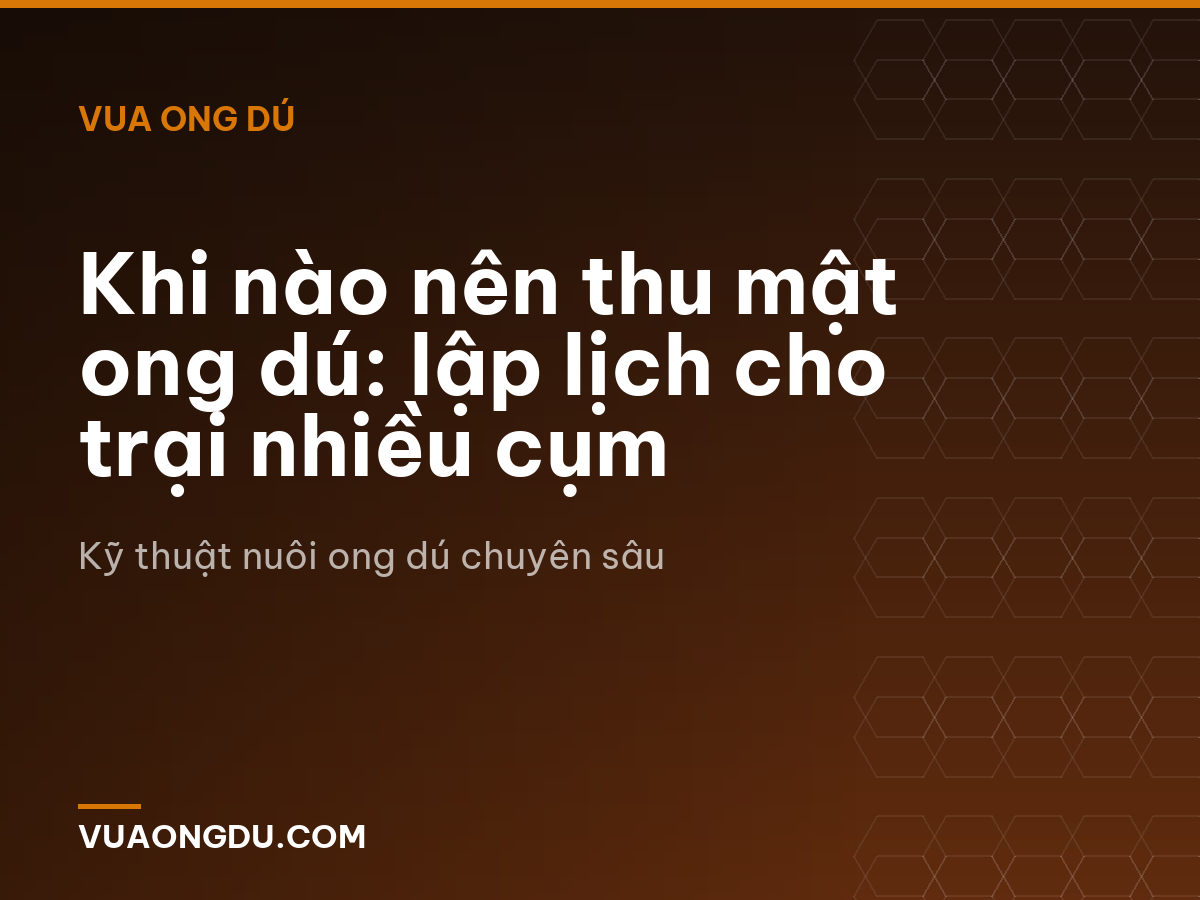 Khi nào nên thu mật ong dú: lập lịch cho trại nhiều cụm