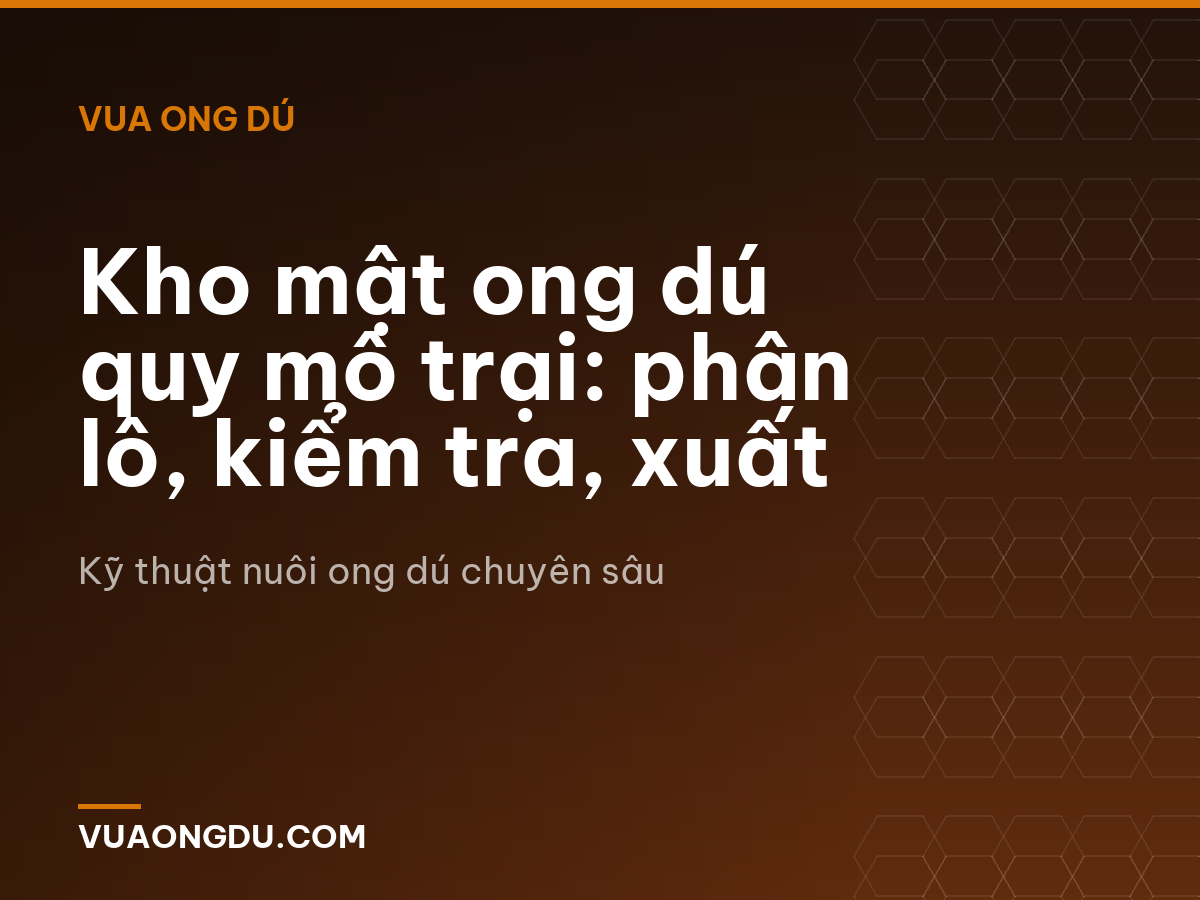 Kho mật ong dú quy mô trại: phân lô, kiểm tra, xuất
