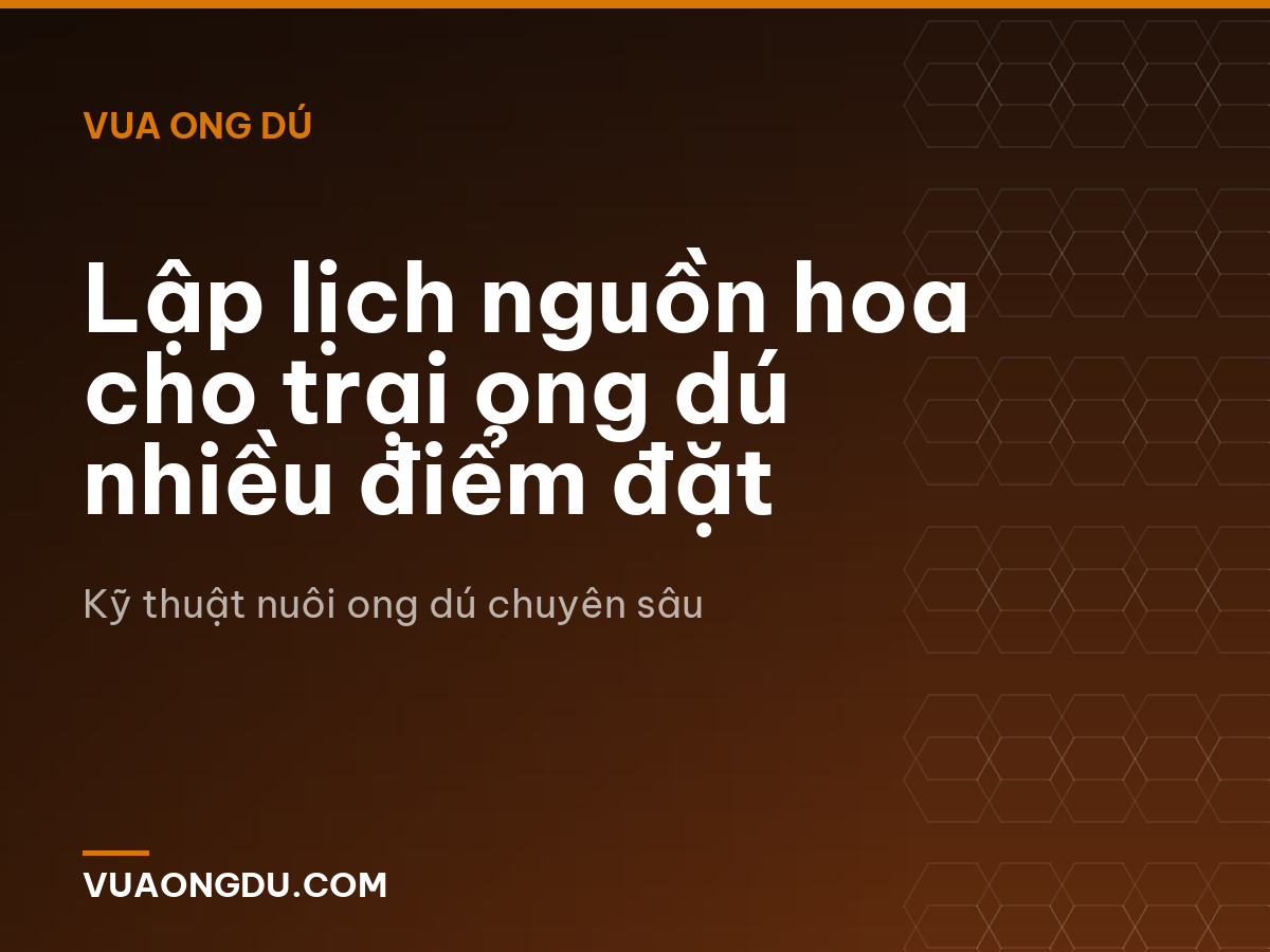 Lập lịch nguồn hoa cho trại ong dú nhiều điểm đặt