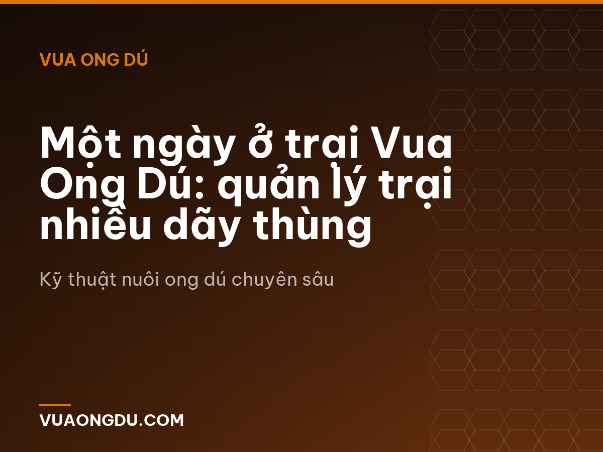 Một ngày ở trại Vua Ong Dú: quản lý trại nhiều dãy thùng