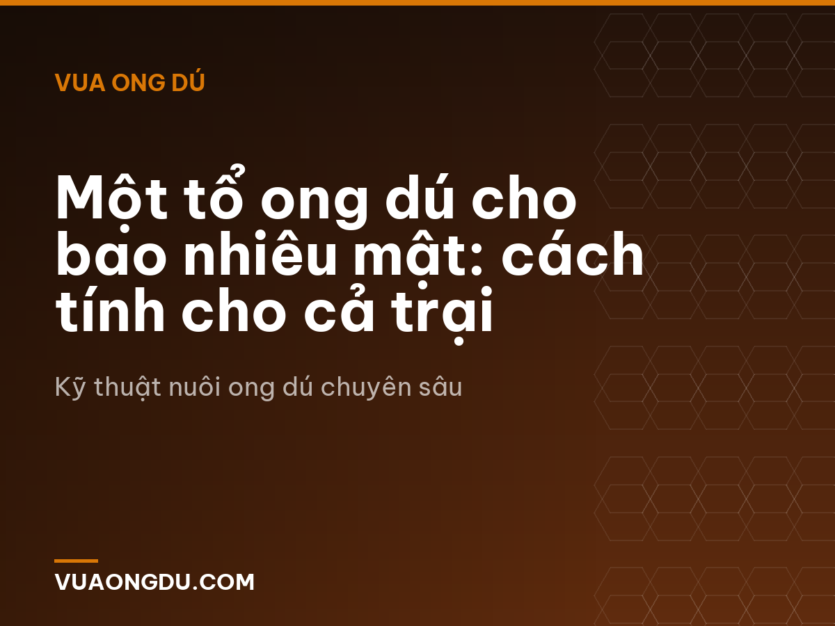 Một tổ ong dú cho bao nhiêu mật: cách tính cho cả trại