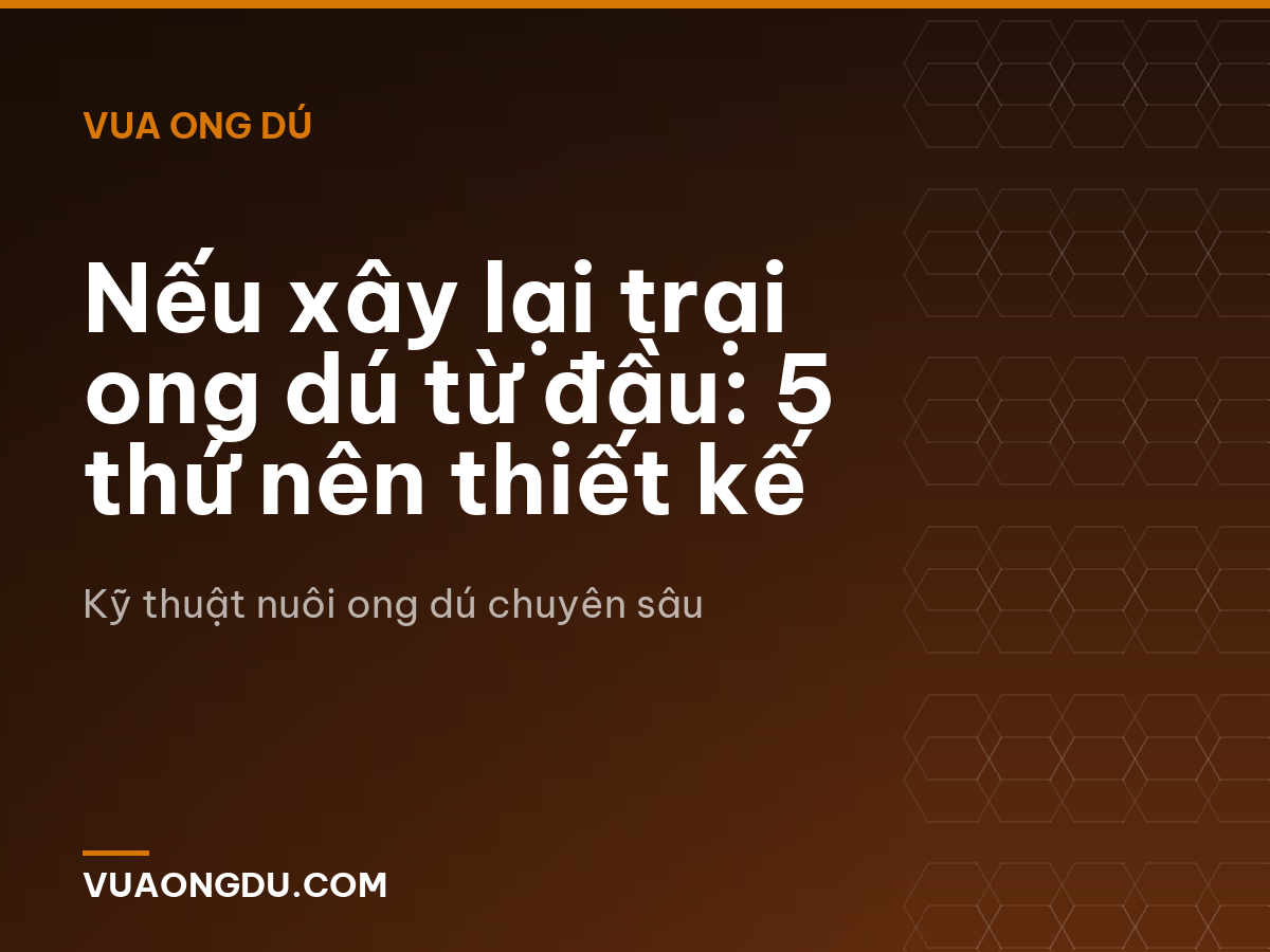 Nếu xây lại trại ong dú từ đầu: 5 thứ nên thiết kế