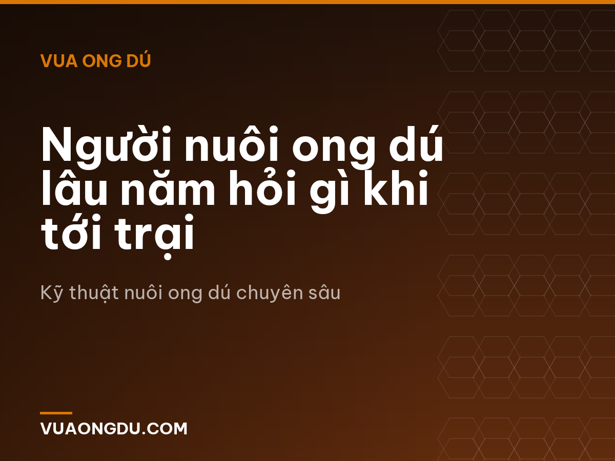 Người nuôi ong dú lâu năm hỏi gì khi tới trại