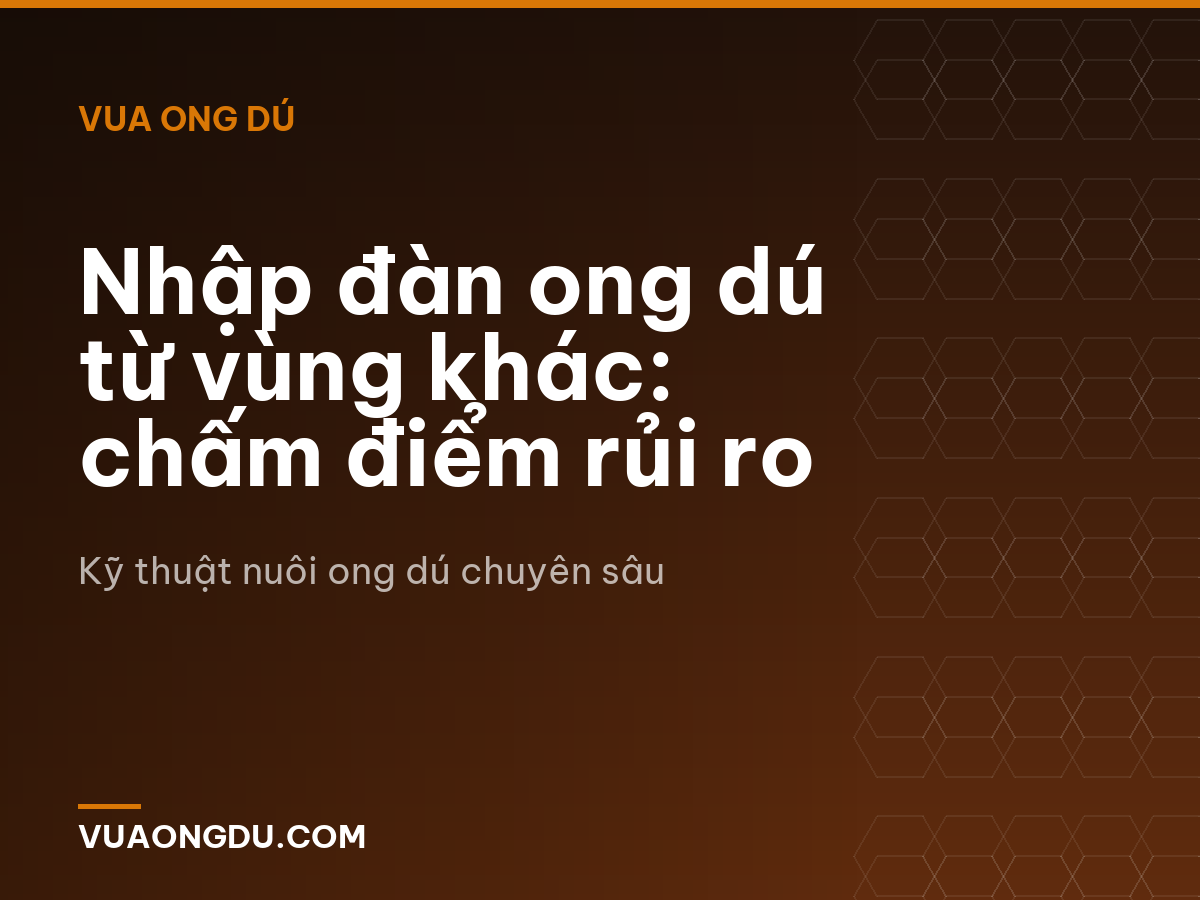 Nhập đàn ong dú từ vùng khác: chấm điểm rủi ro
