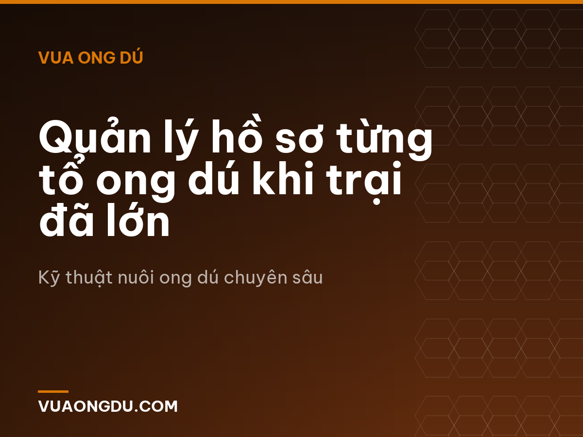 Quản lý hồ sơ từng tổ ong dú khi trại đã lớn