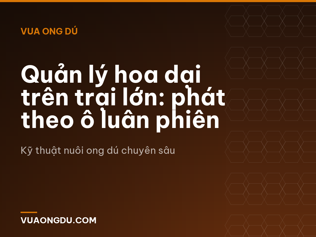 Quản lý hoa dại trên trại lớn: phát theo ô luân phiên