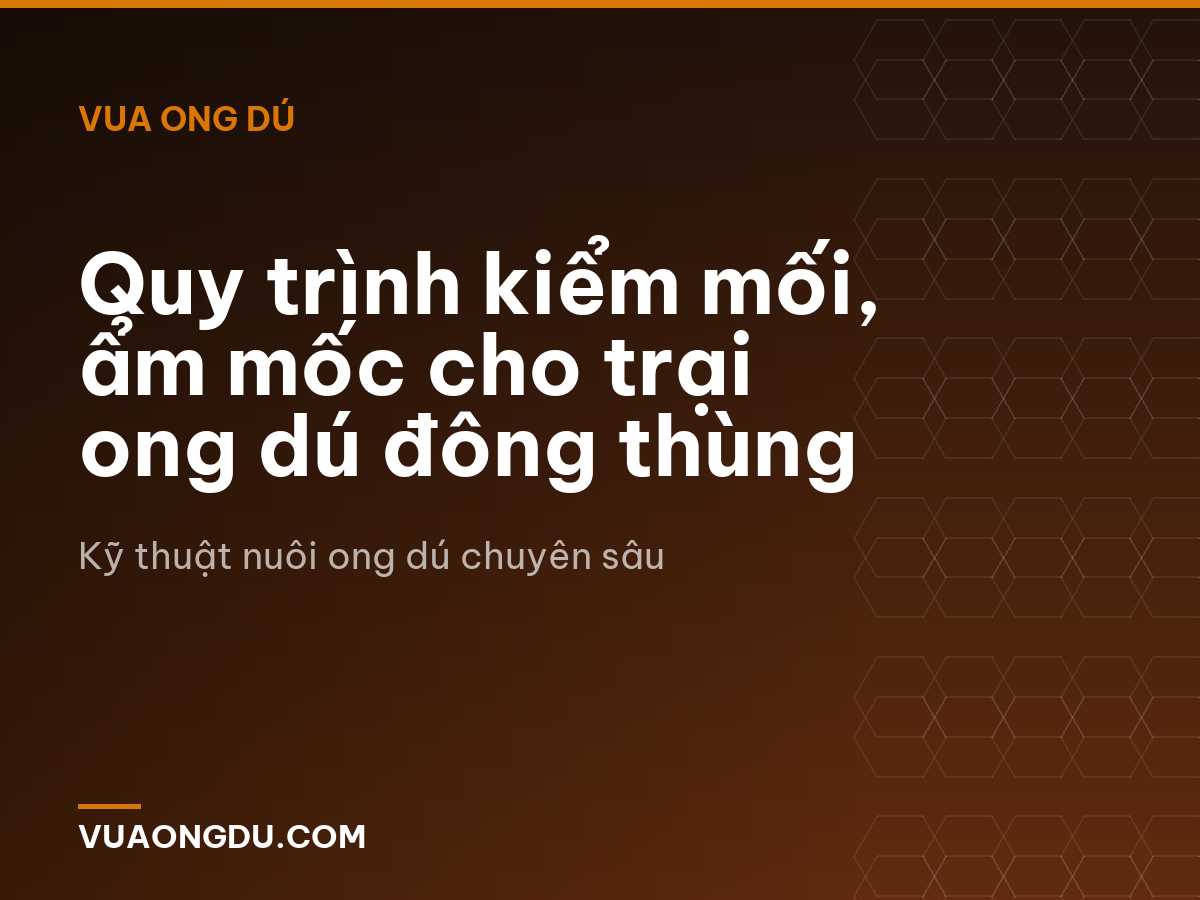 Quy trình kiểm mối, ẩm mốc cho trại ong dú đông thùng
