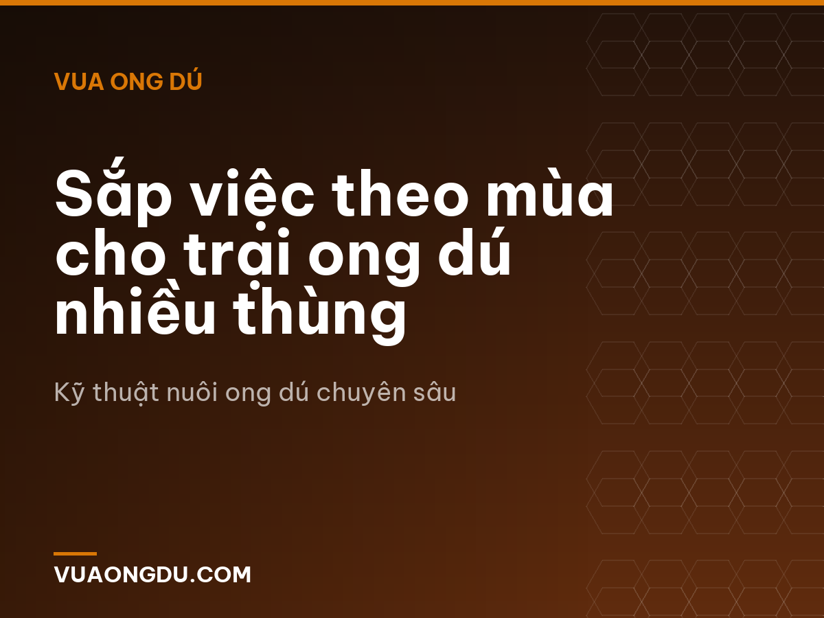 Sắp việc theo mùa cho trại ong dú nhiều thùng