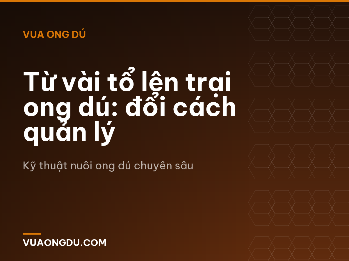 Từ vài tổ lên trại ong dú: đổi cách quản lý