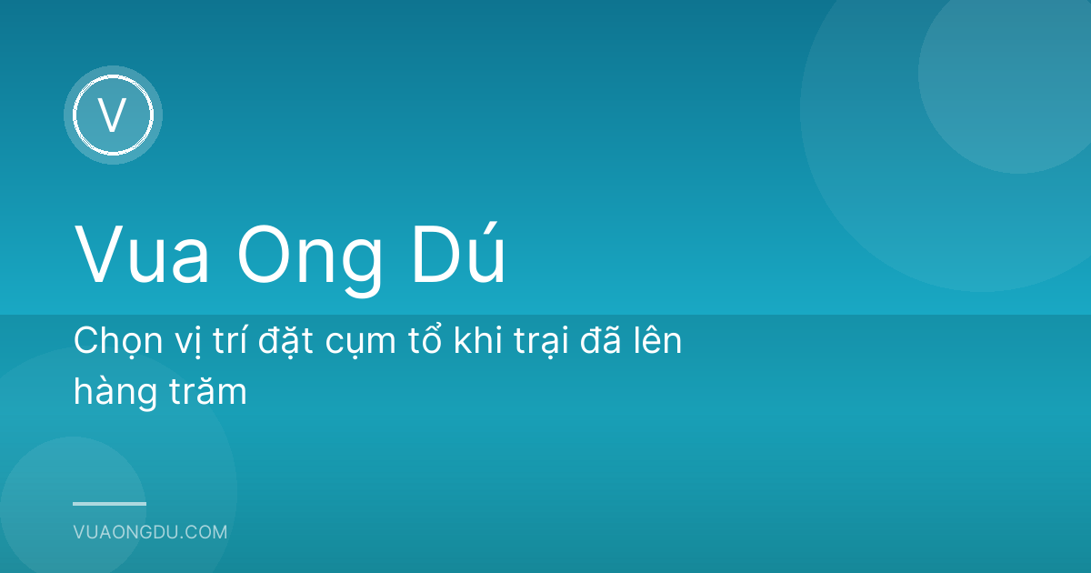 Chọn vị trí đặt cụm tổ khi trại đã lên hàng trăm