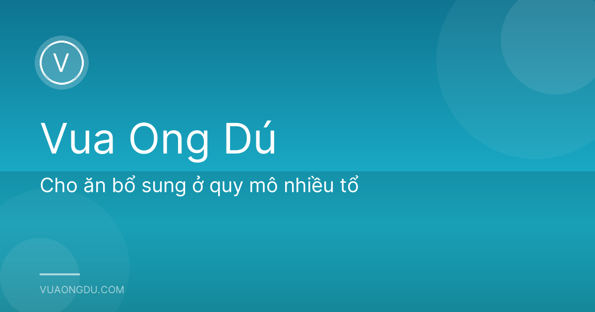 Cho ăn bổ sung ở quy mô nhiều tổ