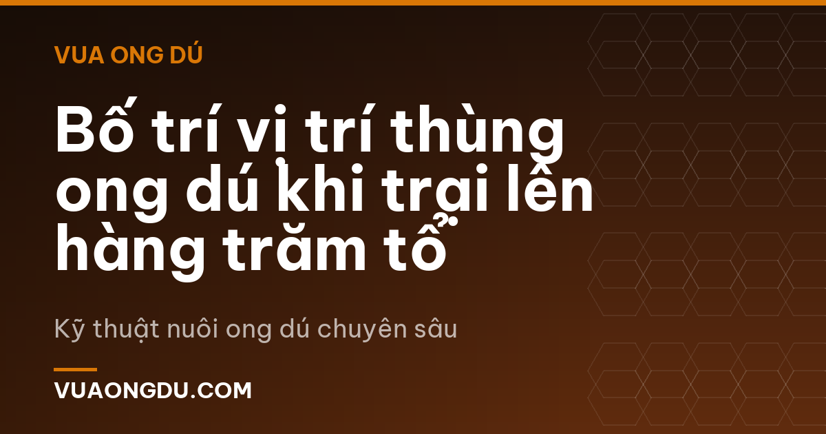 Bố trí vị trí thùng ong dú khi trại lên hàng trăm tổ