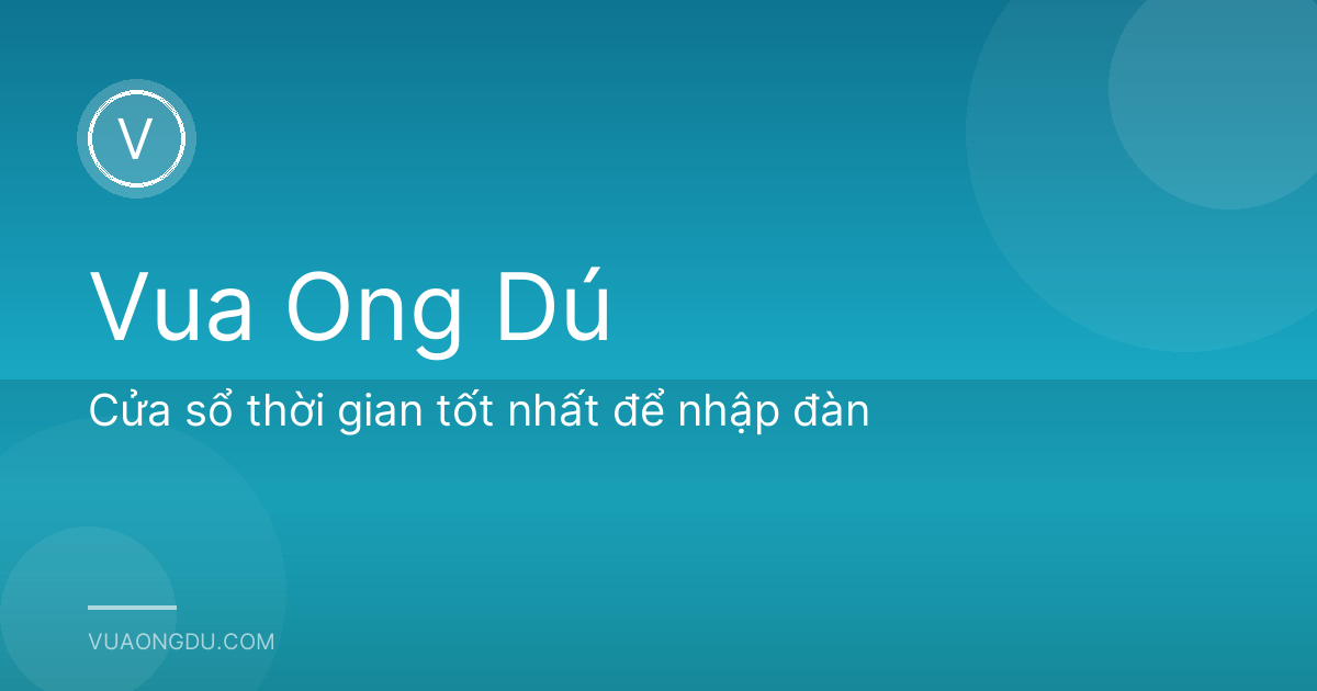 Cửa sổ thời gian tốt nhất để nhập đàn
