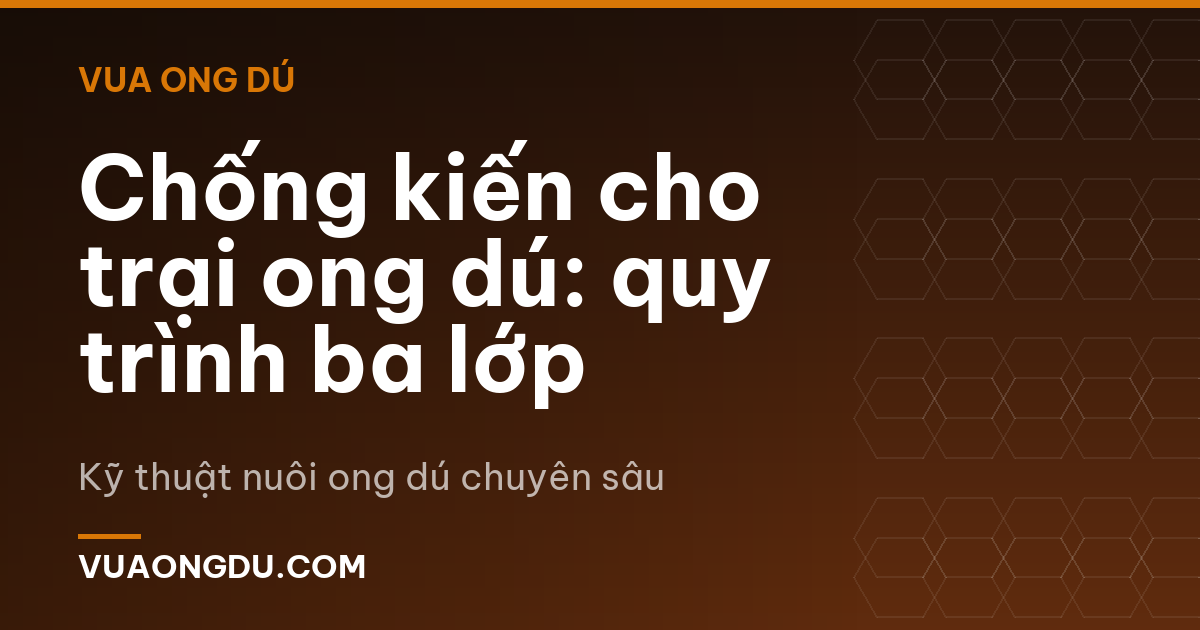 Chống kiến cho trại ong dú: quy trình ba lớp