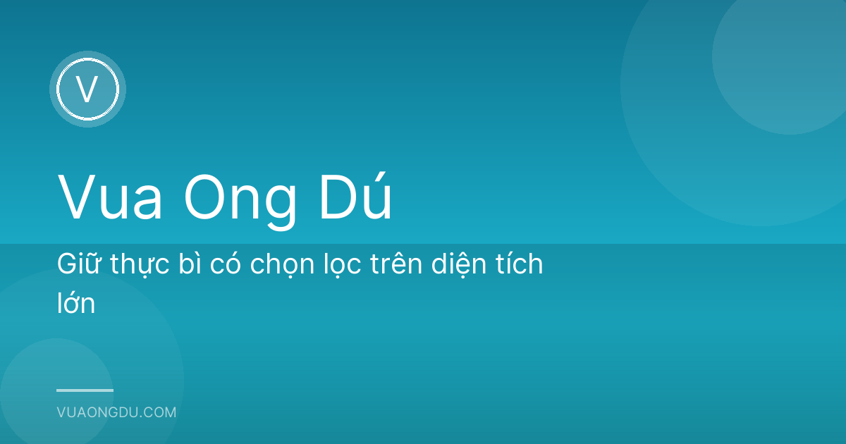 Giữ thực bì có chọn lọc trên diện tích lớn