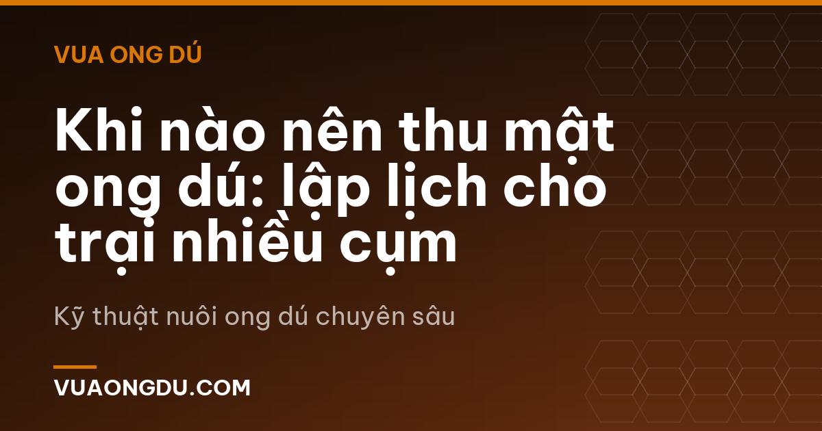 Khi nào nên thu mật ong dú: lập lịch cho trại nhiều cụm