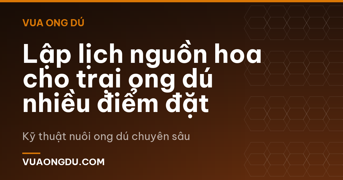 Lập lịch nguồn hoa cho trại ong dú nhiều điểm đặt