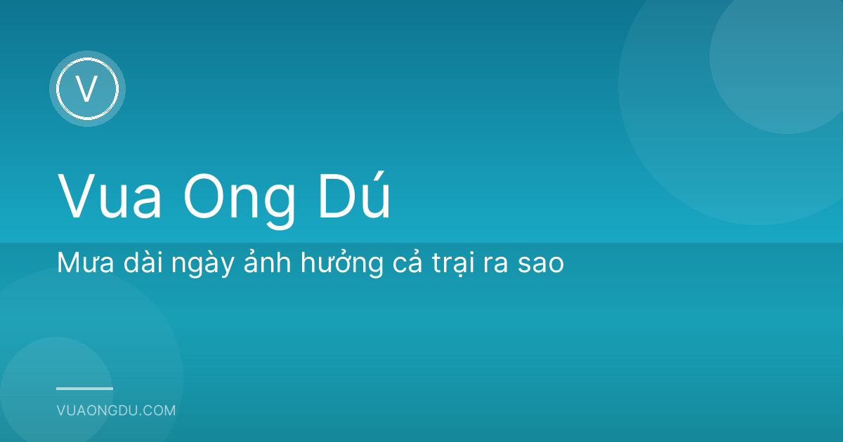 Mưa dài ngày ảnh hưởng cả trại ra sao