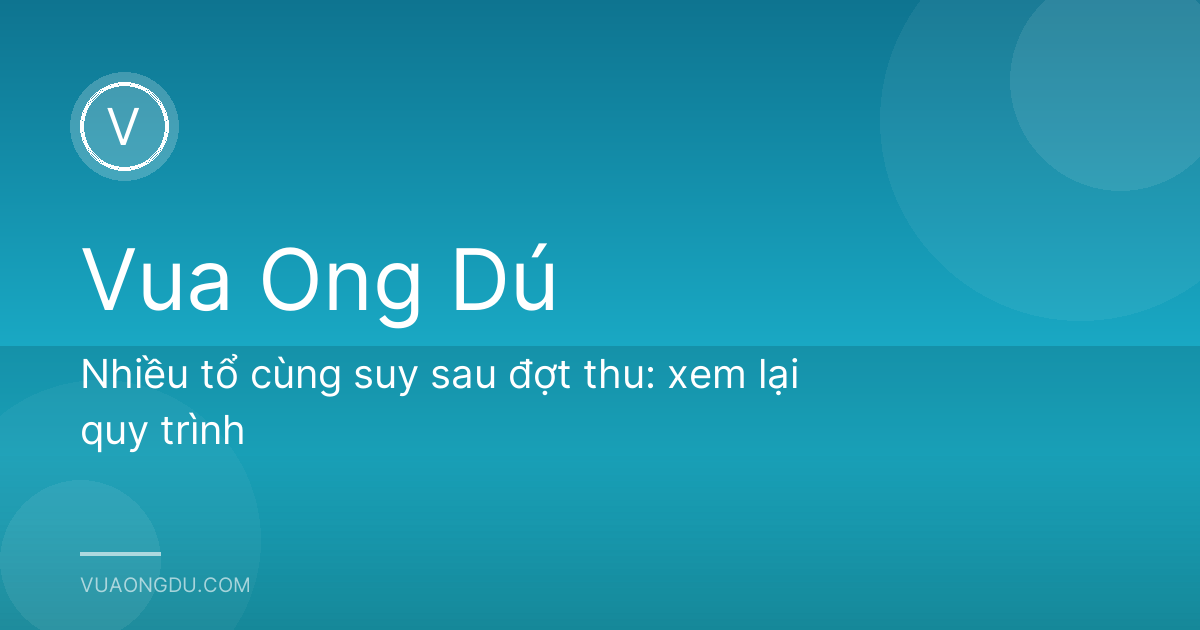 Nhiều tổ cùng suy sau đợt thu: xem lại quy trình